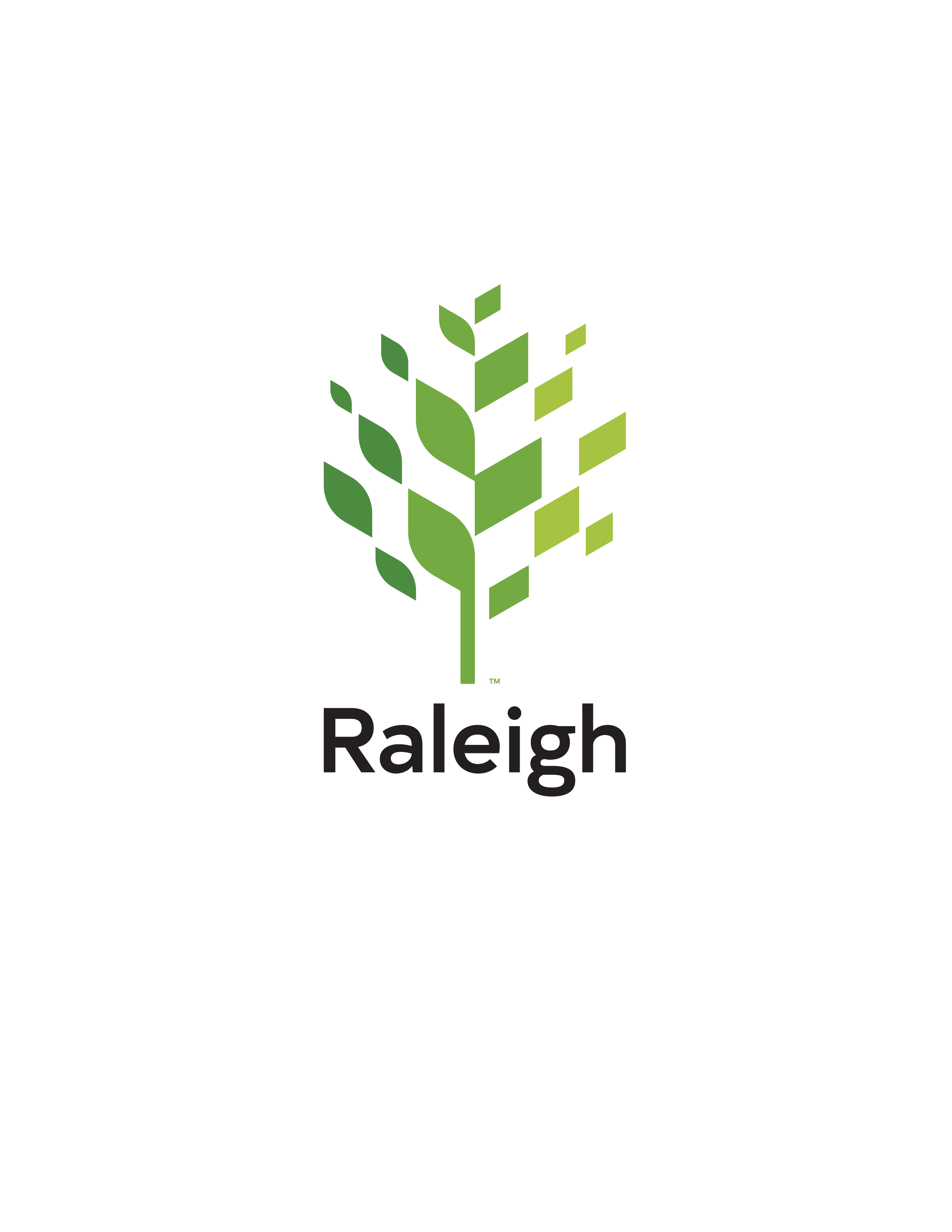 City-of-Raleigh_LOGO